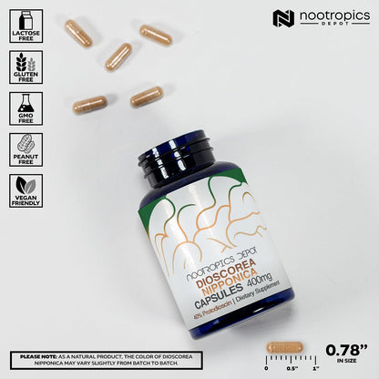 Nootropics Depot Dioscorea nipponica – Neuroprotective Support: Antioxidant properties may help protect neural – Image 3