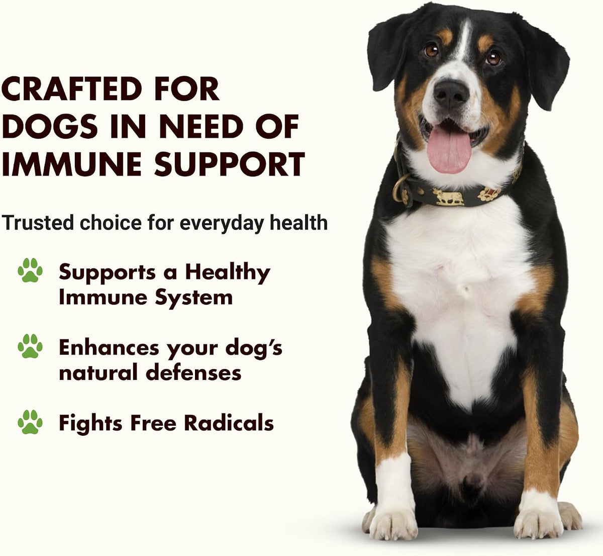 Liquid-Vet Immune Support for Dogs – – Ingredient Quality: Choose products made with AAFCO-approved or GRAS – Image 2