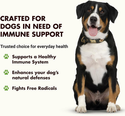 Liquid-Vet Immune Support for Dogs – – Ingredient Quality: Choose products made with AAFCO-approved or GRAS – Image 2