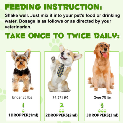 Probiotics for Dogs, 3-in-1 Dog Probiotics, Dog Probiotics for Digestive Support, Dog Probiotic Supplements, Pet Probiotics for Dogs, Liquid Probiotics for Dogs | 59 mL