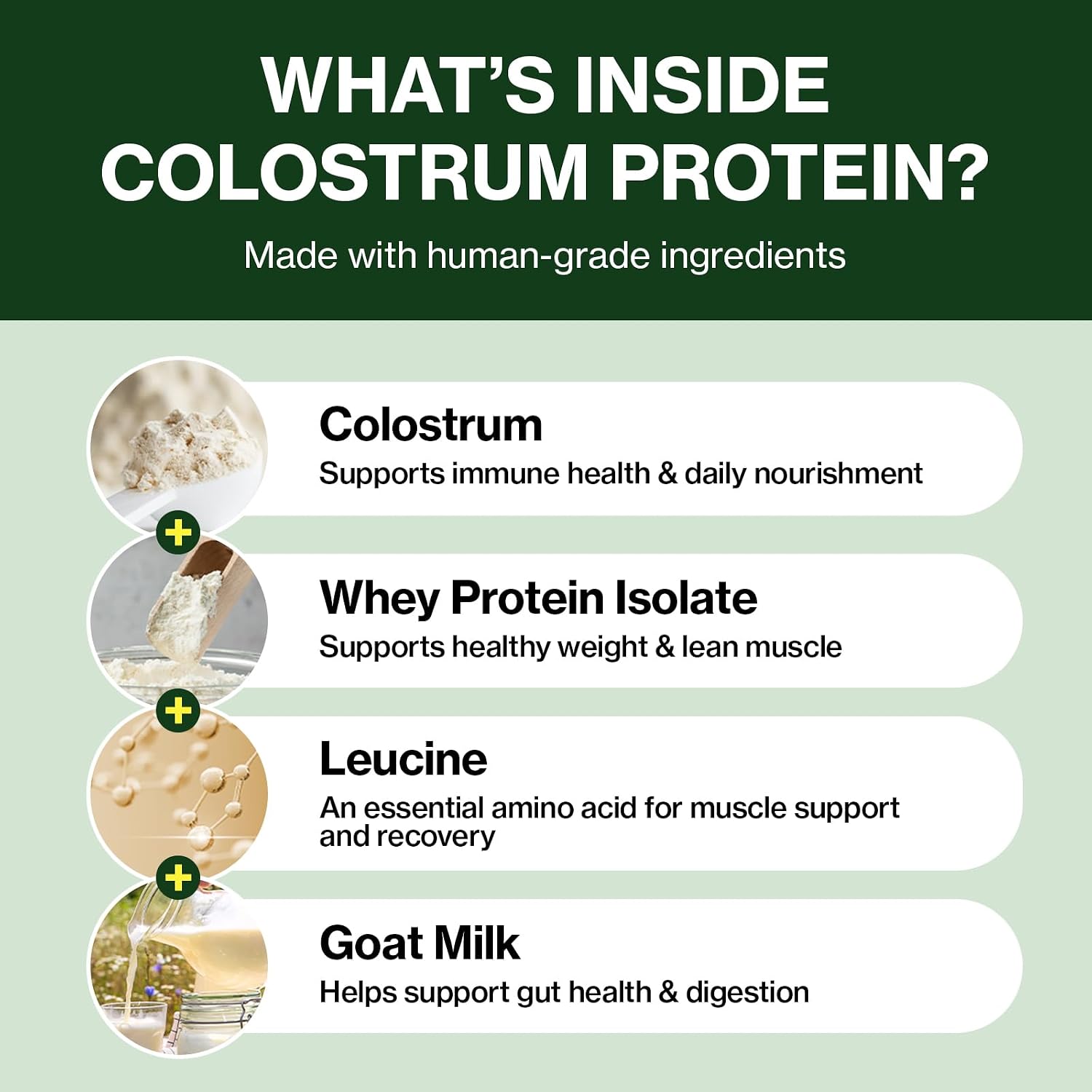 Doctor By Colostrum Protein for Dogs and Puppies – Weight Gain Supplement for Dogs – Muscle Strength and Immune System Support with Colostrum, Whey Protein Isolate, Goat Milk – 30 Tubes - görsel 7