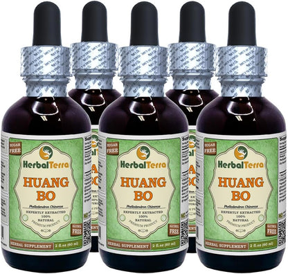 HerbalTerra Huang Bo (Phellodendron Chinense) Glycerite - Alcohol-Free Liquid Extract, 5x60 mL