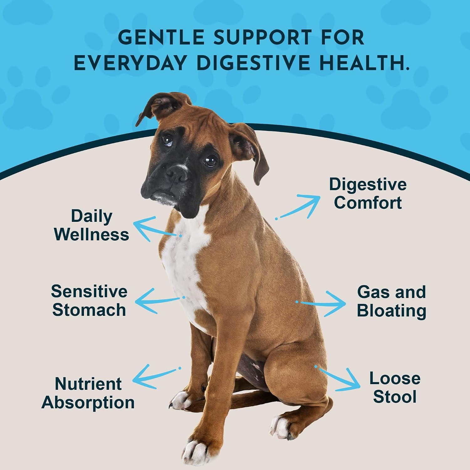 Animal Essentials Fresh Breath & Daily Digestion Supplement for Dogs & Cats, 60 mL - Organic Ginger & Mint, Alcohol Free - görsel 3