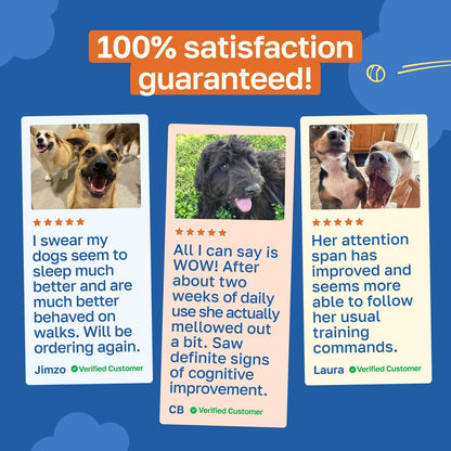 Happy Paws Cognitive Taurine Supplement for – Spirulina: A nutrient-packed blue-green algae with antioxidant and – Image 6