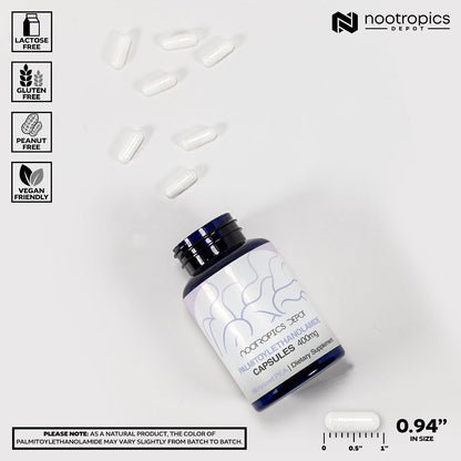 Nootropics Depot Palmitoylethanolamide (PEA) – Cellular Support: As a protective fatty acid amide, PEA helps – Image 3
