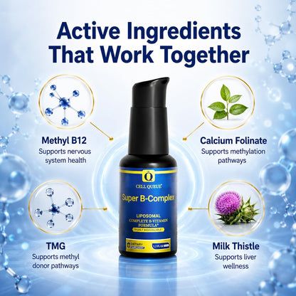 Cellqueue Liposomal Methyl B Complex Liquid – Active B Vitamin Formula with Methyl B12, Folate, TMG & Milk Thistle, 50 ml – Image 6