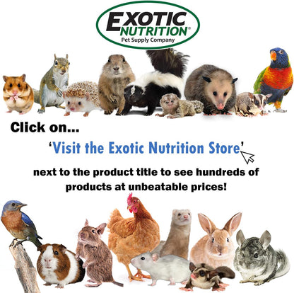 Exotic Nutrition Glider-Cal (100 g) - Calcium Supplement for Sugar Gliders - Supports Healthy Hind Leg Function