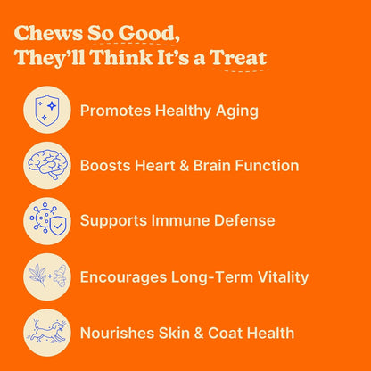 Furevery 11-in-1 Dog Multivitamin Chews – – B Vitamins (B6, B12, etc.): Essential for energy metabolism, brain – Image 3