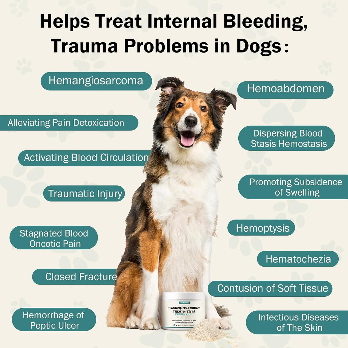 Quick Stop Bleeding for Dogs - Natural – Ajuga Forrestii Diels: Valued for its ability to reduce bleeding and – Image 2