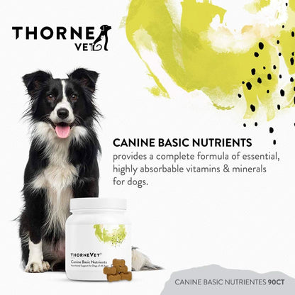 ThorneVET Canine Basic Nutrients – – B vitamins (including Folate and Biotin) – aid energy metabolism and healthy – Image 2