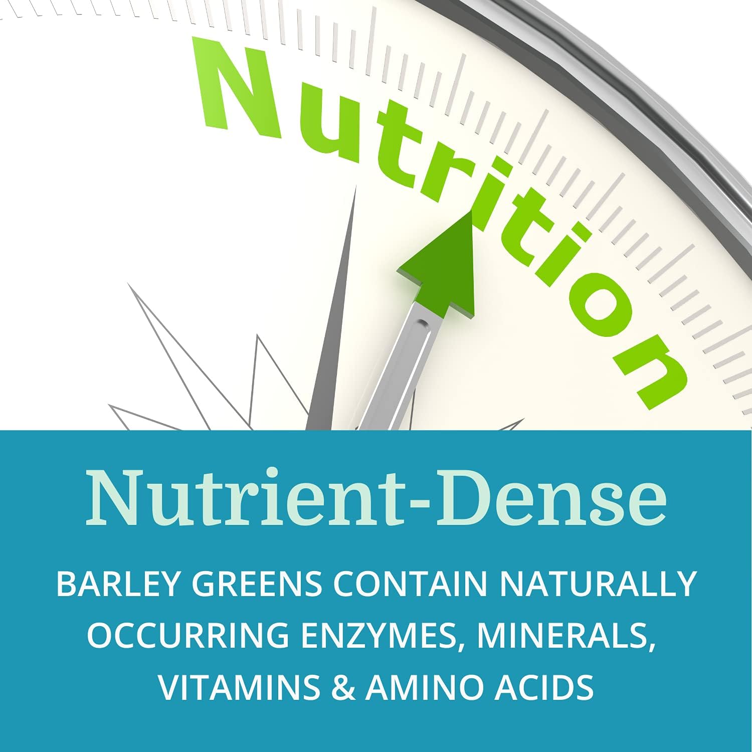 Alka•Green Tablets – Organic Barley Grass Supplement by Morter HealthSystem - görsel 6
