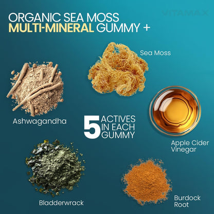 Vitamax Irish Sea Moss Gummies – Multi-Mineral Supplement with Sea Moss, Bladderwrack, Ashwagandha, Burdock Root & ACV – 60 Gummies