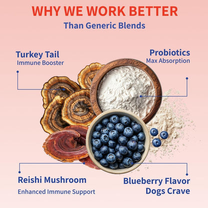 Fifth & Fido Turkey Tail Mushroom for Dogs – Immune Support & Lump Support with Probiotics – Dog Food Topper, 30 Servings