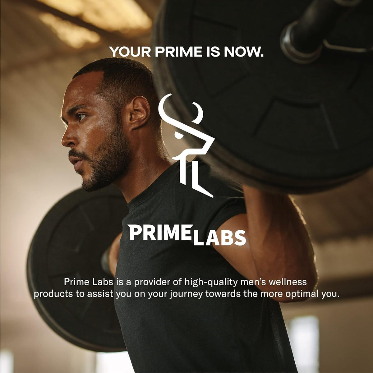 Prime Labs Fadogia Agrestis for Men - 600mg – Natural Testosterone Support: Traditional use suggests it helps – Image 8