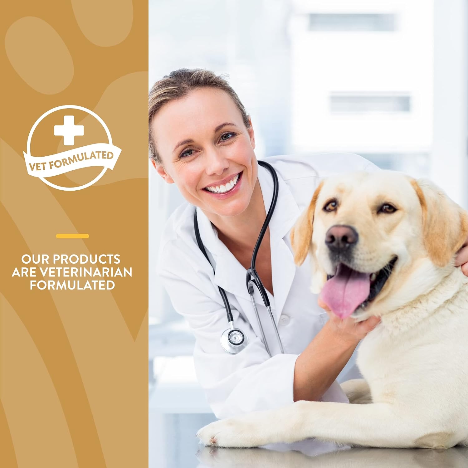 NaturVet Scoopables Omega-Gold Anchovy Oil & Salmon Supplement For Dogs and Cats – Supports Healthy Skin & Coat Plus DHA, EPA, Omega-3, & Omega-6 – Anchovy & Salmon Flavoured For Dog and Cat | 11oz Bag - görsel 6