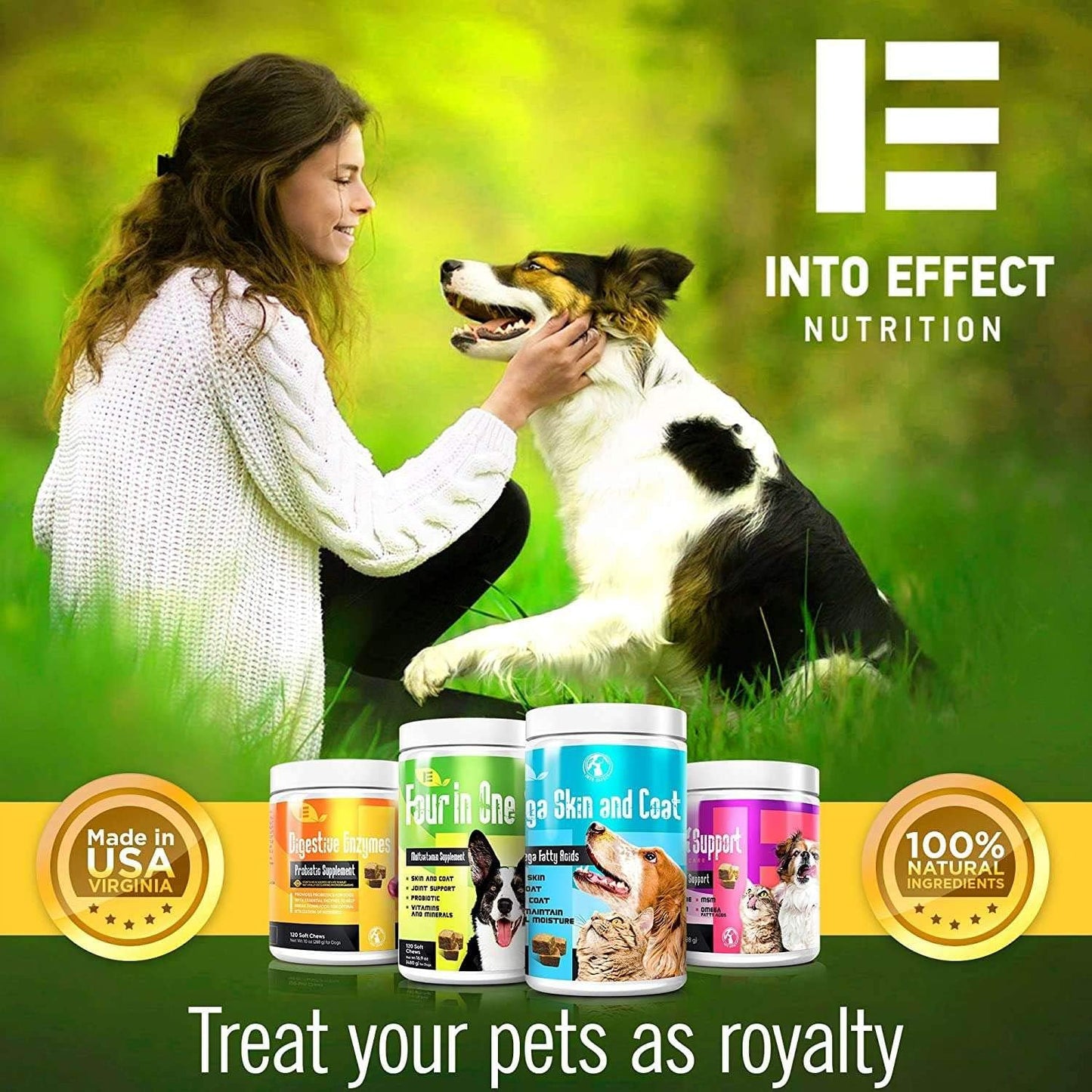 IE 4-in-1 Dog Multivitamins with Joint Support, Immune Health, Skin & Heart Health – 90 Soft Chews - görsel 6