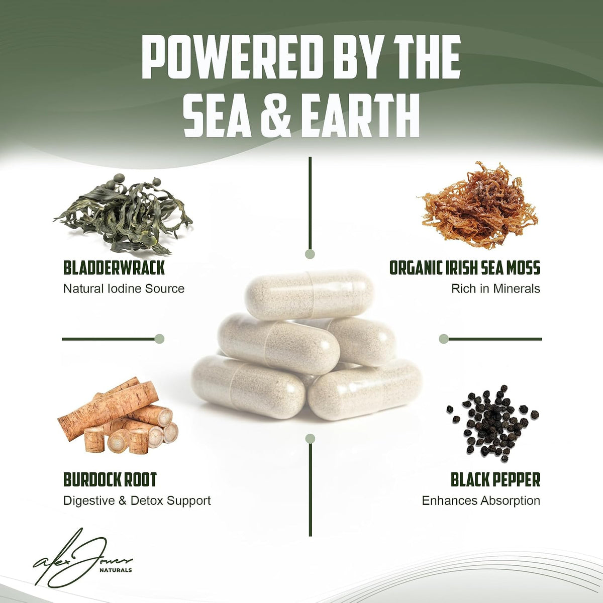 Alex Jones Ultimate Sea Moss Capsules – Vegan, Non-GM Seaweed Supplement with Bladderwrack and Burdock Root (60 Capsules) – Image 3