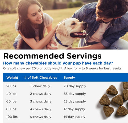 Nutri-Vet Adult-Vite Plus Dog Multivitamin Soft Chews, Daily Dog Supplement with Vitamins Minerals and Antioxidants, Supports Skin, Immune, Joint, and Gut Health, Tasty Chicken Flavour, 70 Count