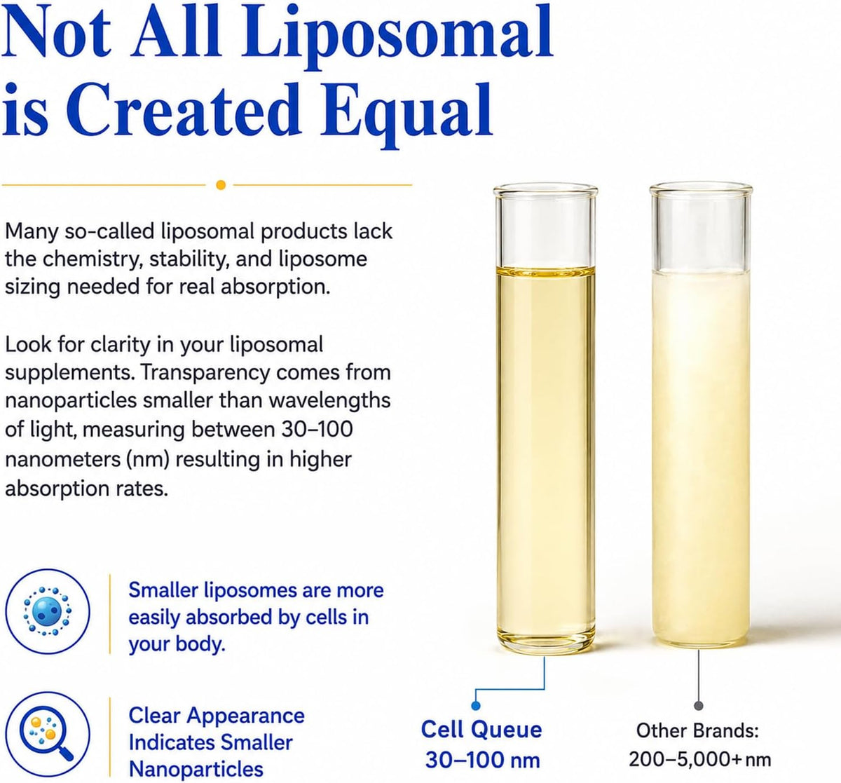 Cellqueue Liposomal Methyl B Complex Liquid – Active B Vitamin Formula with Methyl B12, Folate, TMG & Milk Thistle, 50 ml – Image 4
