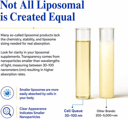 Cellqueue Liposomal Methyl B Complex Liquid – Active B Vitamin Formula with Methyl B12, Folate, TMG & Milk Thistle, 50 ml – Image 4