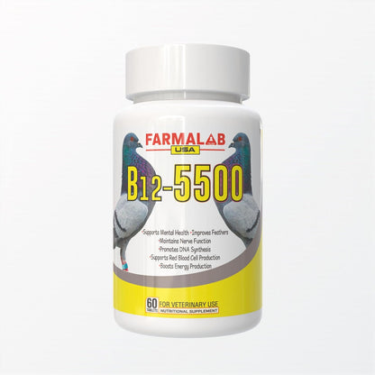 B12-5500 Para Palomas, Pigeon Vitamin – Birds recovering from illness or stress: Helps restore energy and bounce – Image 4