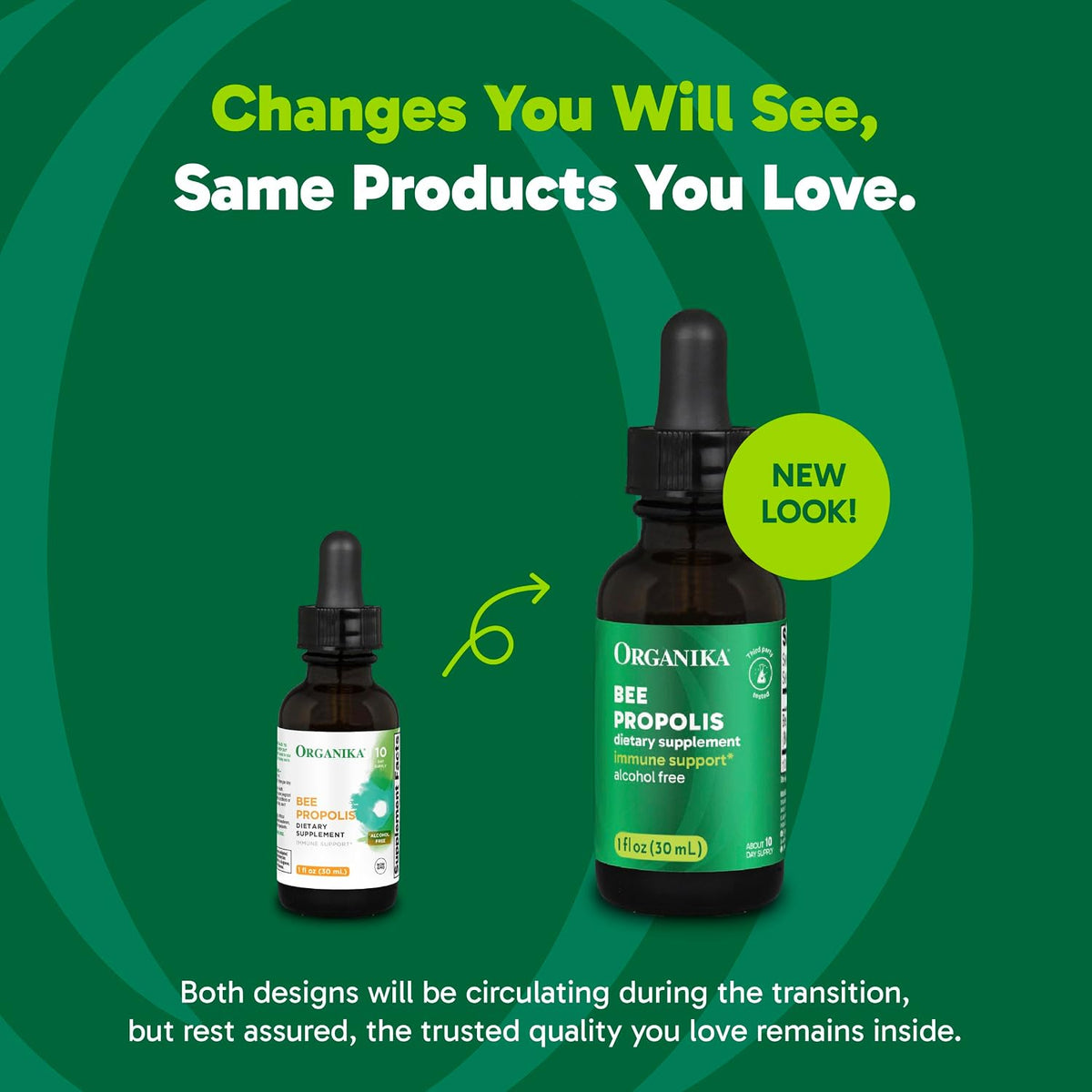 Organika Bee Propolis Tincture (30 mL) - Vegan Propolis Extract for Throat and Immune Support – Image 6