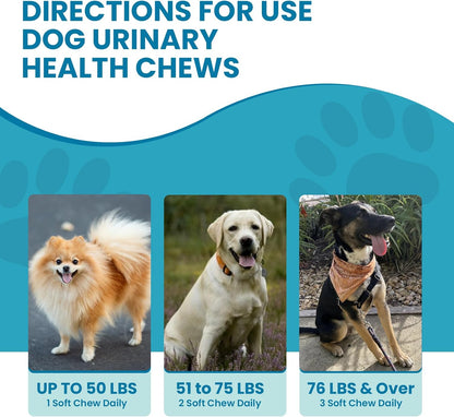 Replenish Urinary Tract Chews for Dogs - Cranberry Extract - 60 Chews
