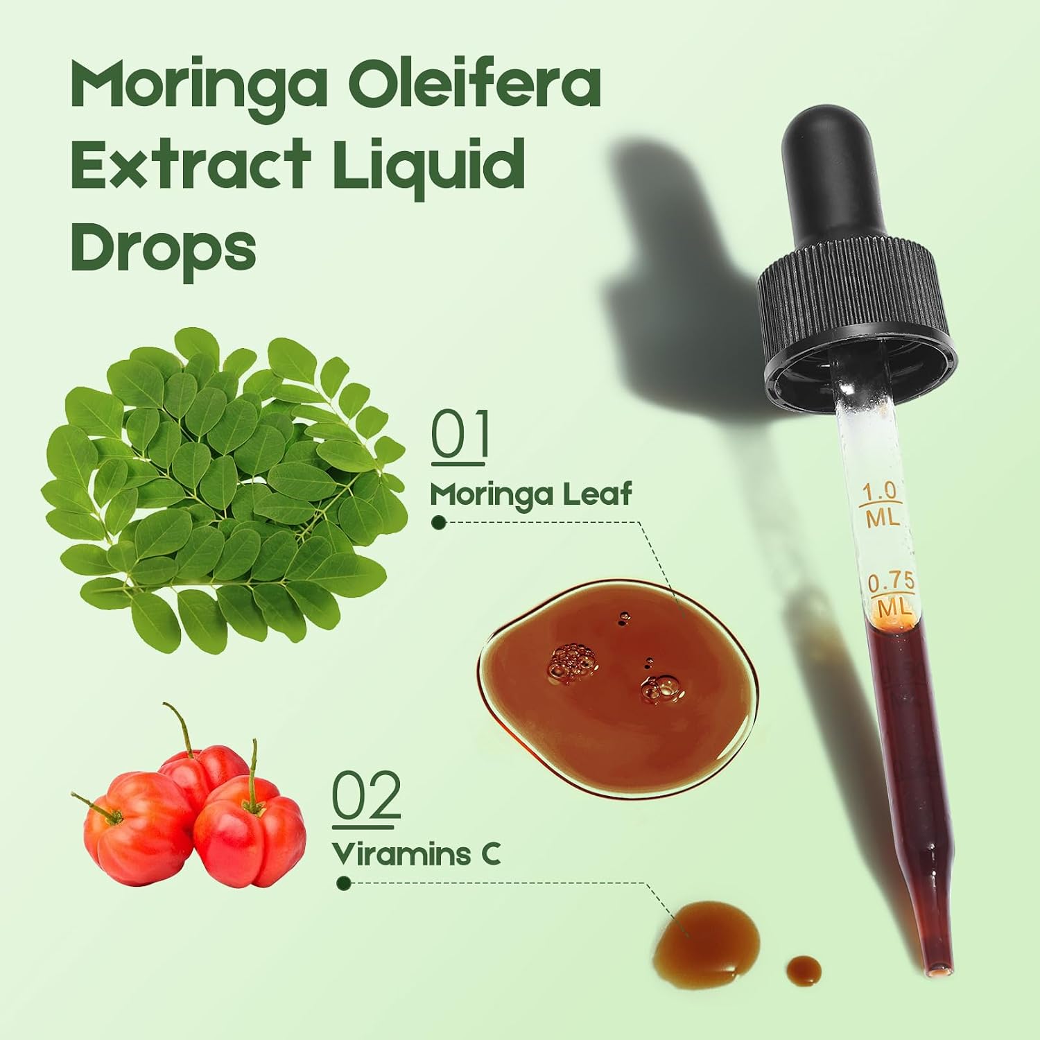 Moringa Leaf Drops with Vitamin C, Moringa Oleifera Extract Liquid Drops for Immunity Support, Antioxidant, Overall Health & Energy, Vegan Herbal Supplement 120 mL - görsel 5