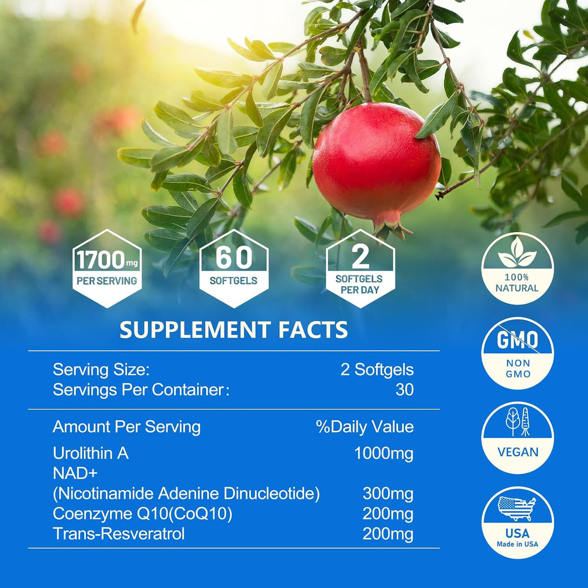 inGreens Urolithin A 1000mg with NAD+ 300mg, – Dosage: The amounts here (1000mg Urolithin A, 300mg NAD+, 200mg – Image 6