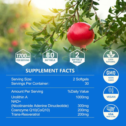 inGreens Urolithin A 1000mg with NAD+ 300mg, – Dosage: The amounts here (1000mg Urolithin A, 300mg NAD+, 200mg – Image 6