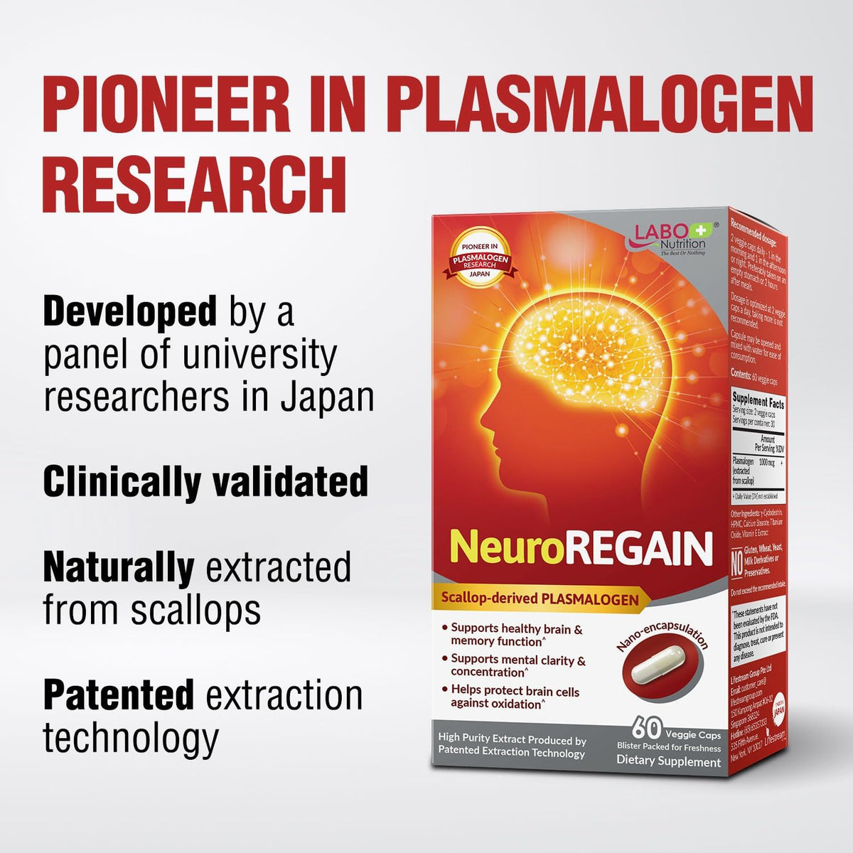 LABO Nutrition NeuroREGAIN – Scallop-derived – Anti-inflammatory effects: Suppresses neuroinflammation and – Image 3