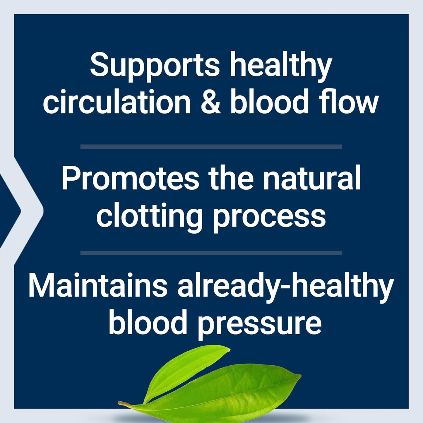 Life Extension VenoFlow™ — Nattokinase & French Maritime Pine Bark Extract for Vascular Support - görsel 4