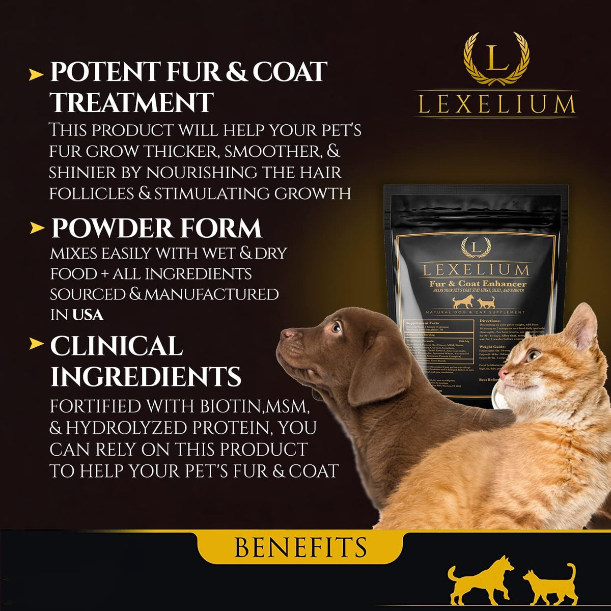 Lexelium Dermatitis Skin and Coat Supplement – Zinc: An essential mineral involved in skin repair and immune – Image 2