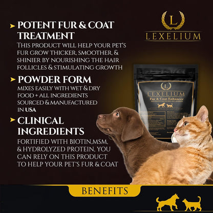 Lexelium Dermatitis Skin and Coat Supplement – Zinc: An essential mineral involved in skin repair and immune – Image 2