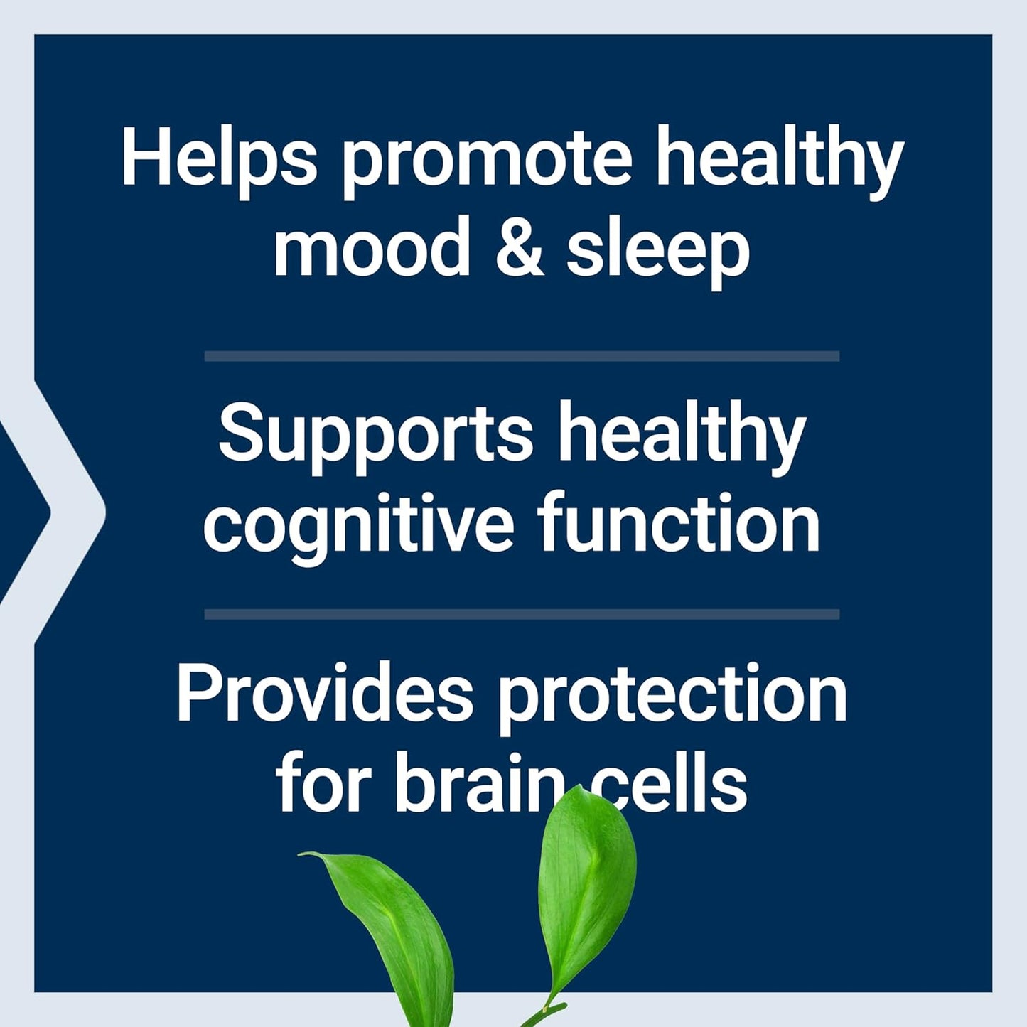 Life Extension D, L-Phenylalanine Capsules, 500 mg - Mood and Neurotransmitter Support - 100 Capsules - görsel 4