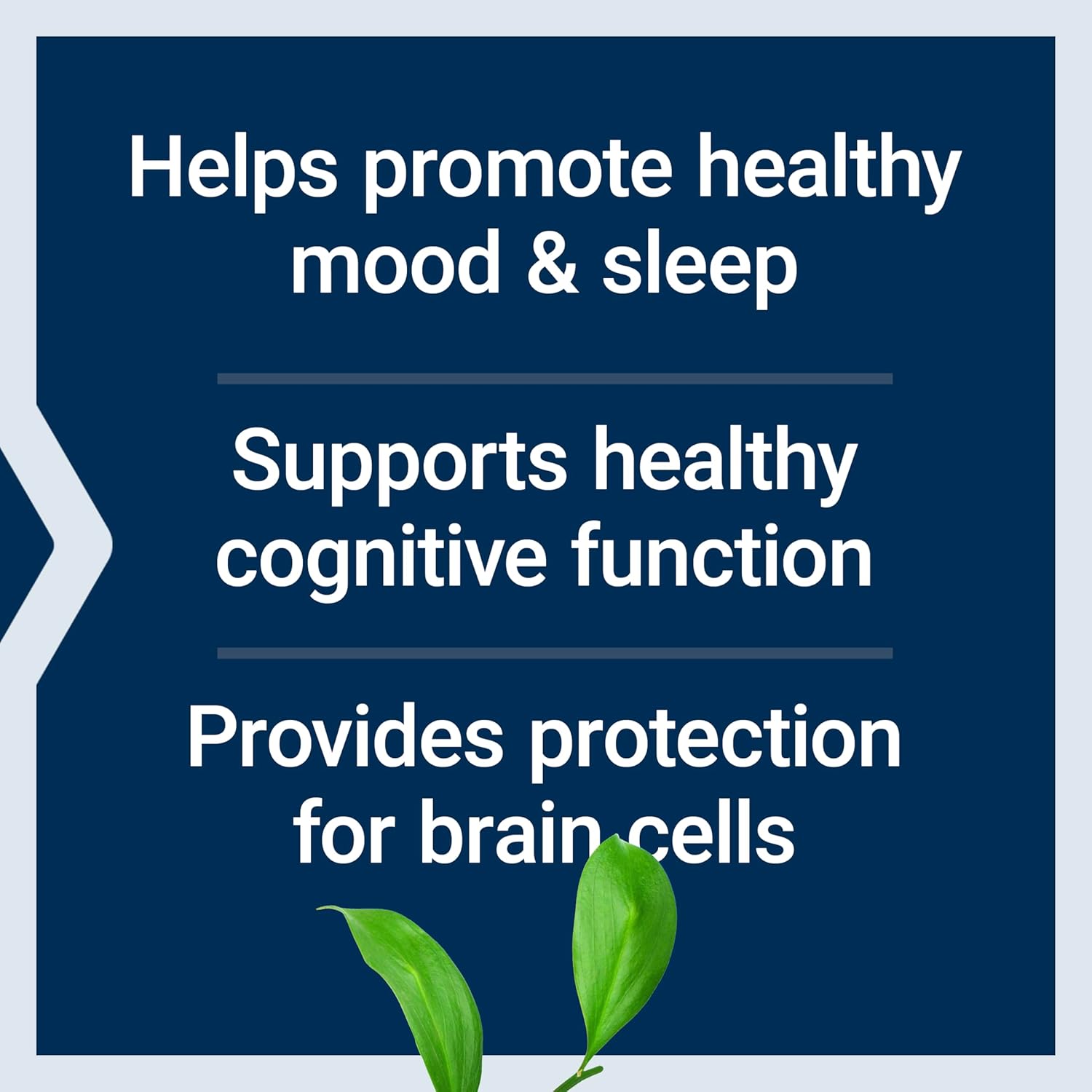 Life Extension D, L-Phenylalanine Capsules, 500 mg - Mood and Neurotransmitter Support - 100 Capsules - görsel 4