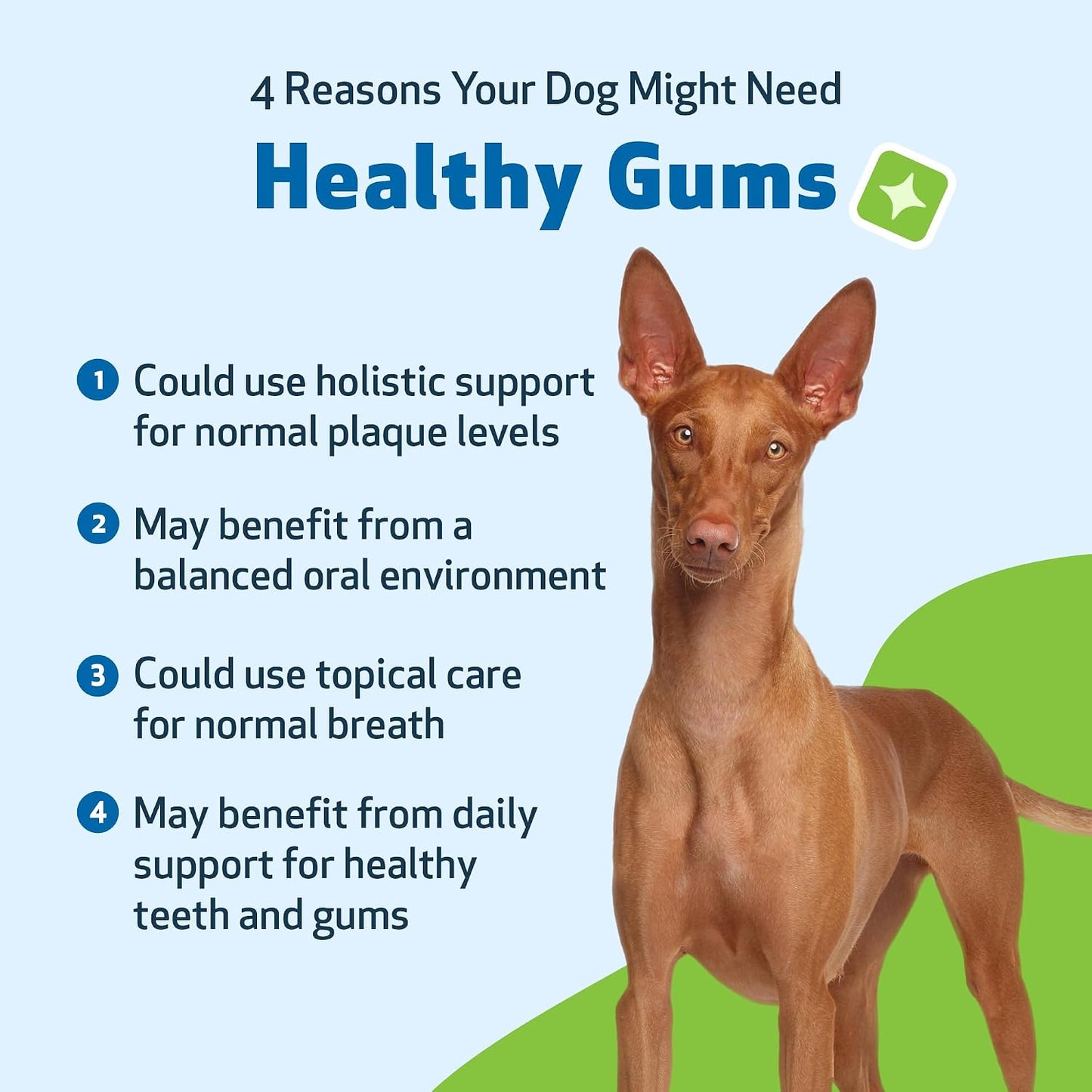 Pet Wellbeing Healthy Gums for Dogs - Topical Herbal Drops for Oral Care, 4 oz (118 mL) - görsel 3
