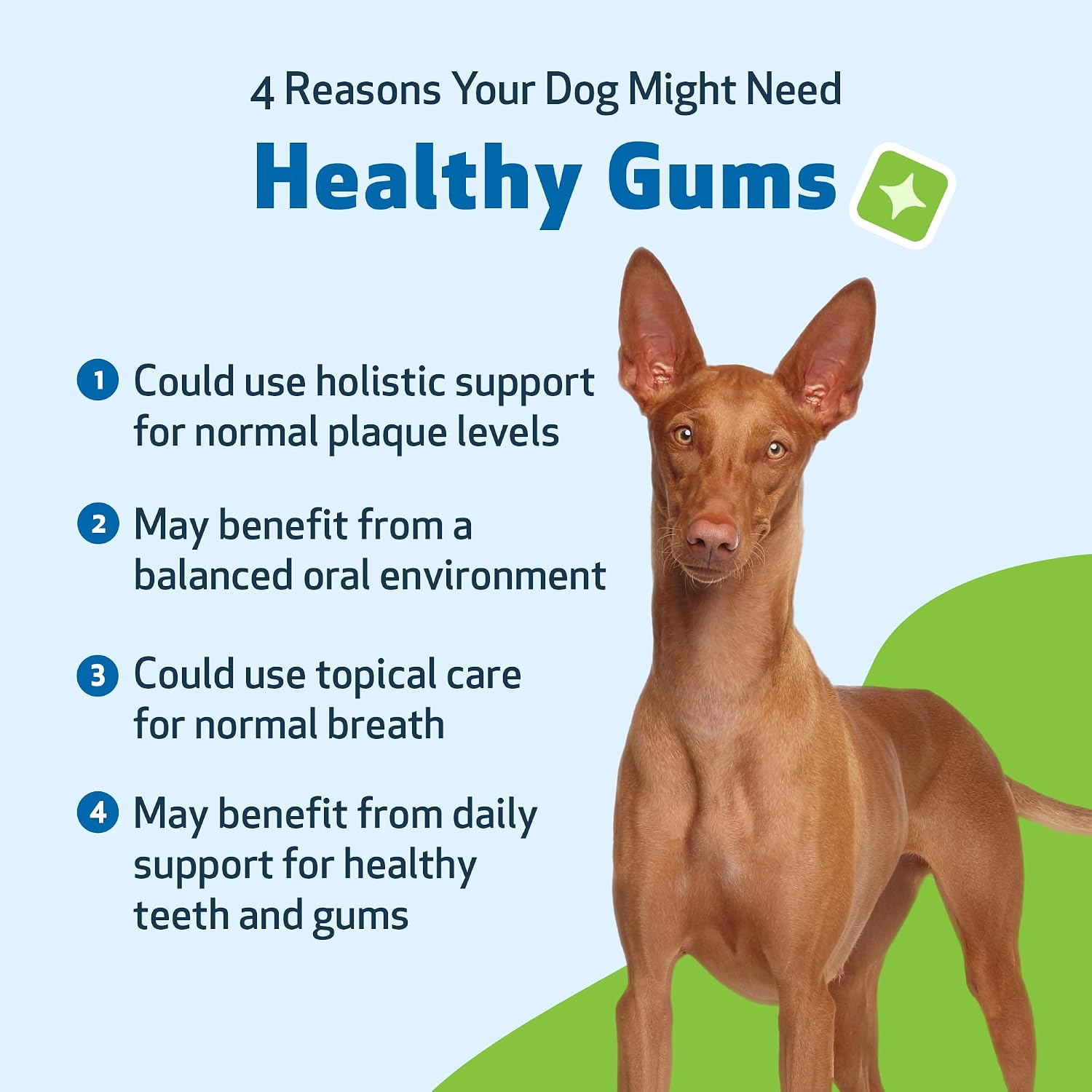 Pet Wellbeing Healthy Gums for Dogs - Topical Herbal Drops for Oral Care, 4 oz (118 mL) - görsel 3