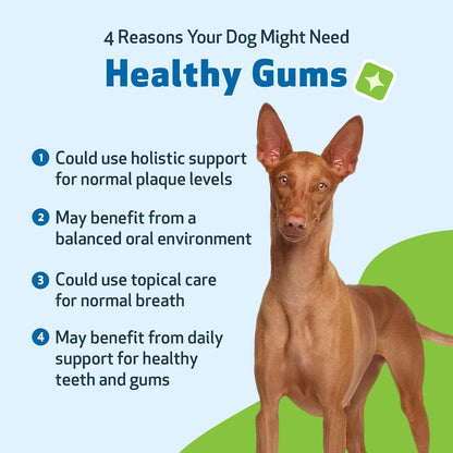 Pet Wellbeing Healthy Gums for Dogs - Topical Herbal Drops for Oral Care, 4 oz (118 mL)