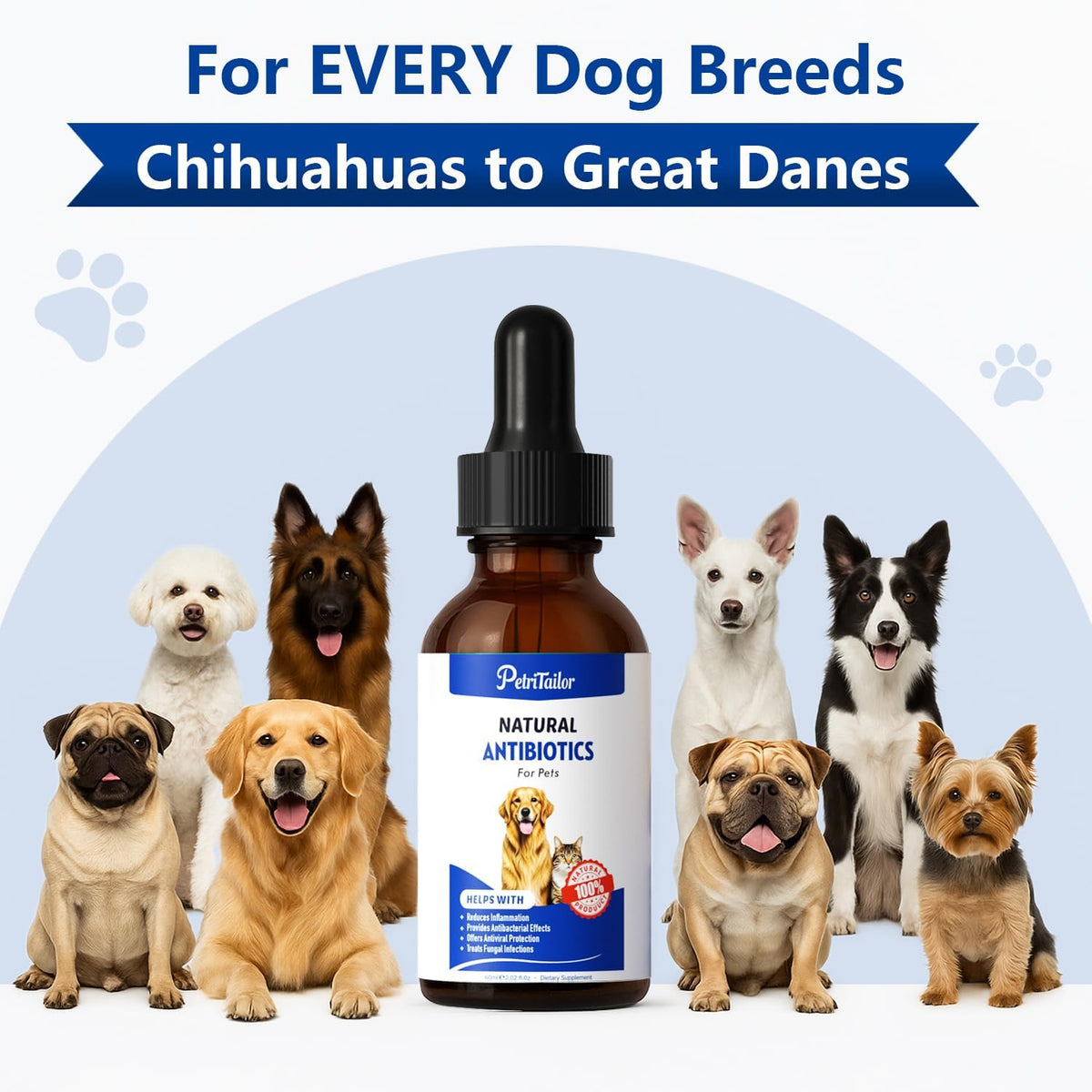 PetriTailor Natural Antibiotics for Dogs - – Respiratory comfort: May help soothe occasional cough or kennel cough – Image 6