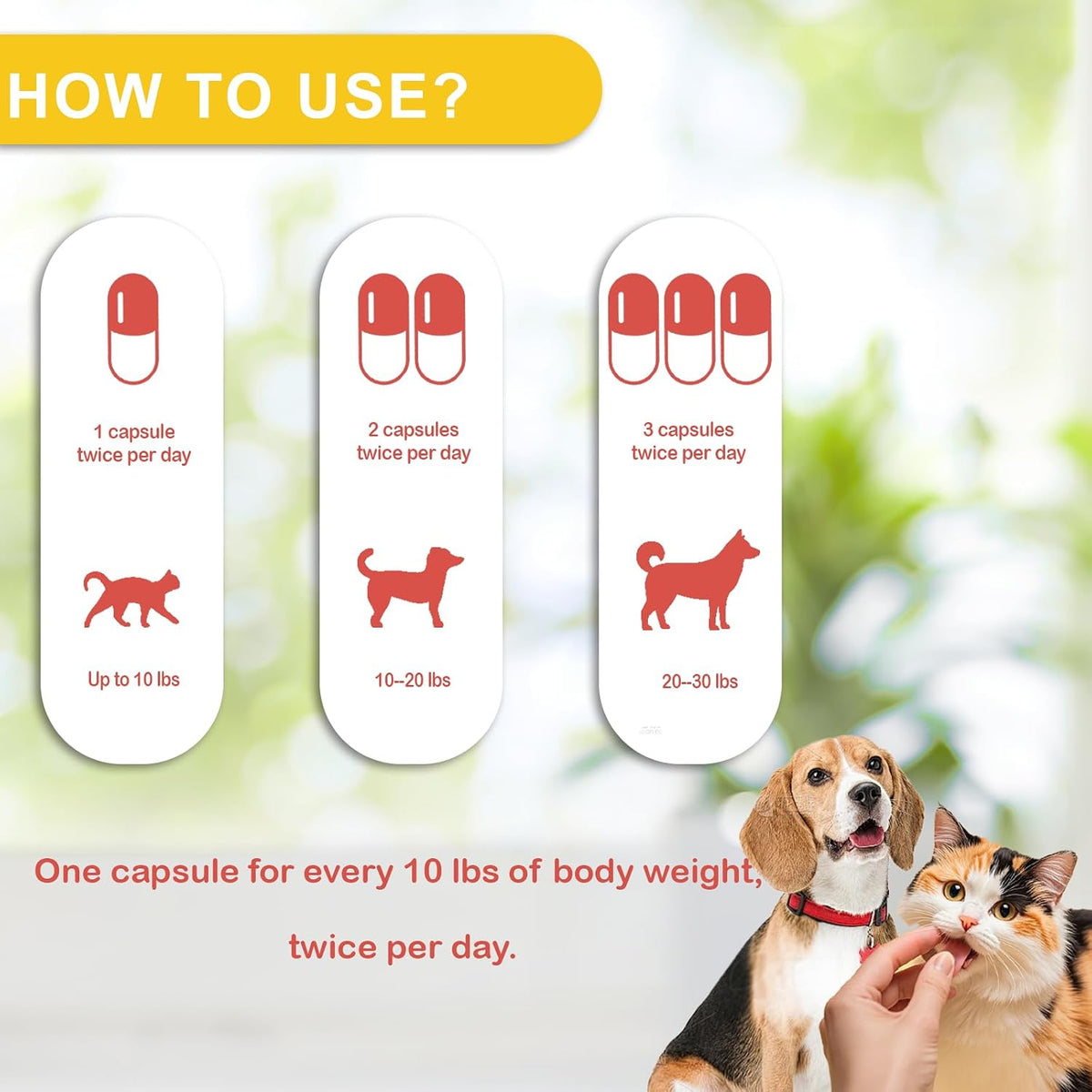 Immune Defence Supplement for Dogs & Cats – – Works Alongside Vet Care: It’s a complementary support that can be – Image 4