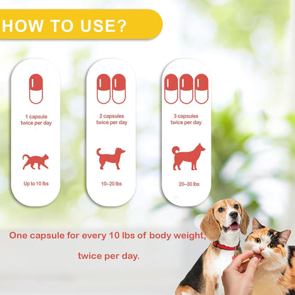 Immune Defence Supplement for Dogs & Cats – – Works Alongside Vet Care: It’s a complementary support that can be – Image 4