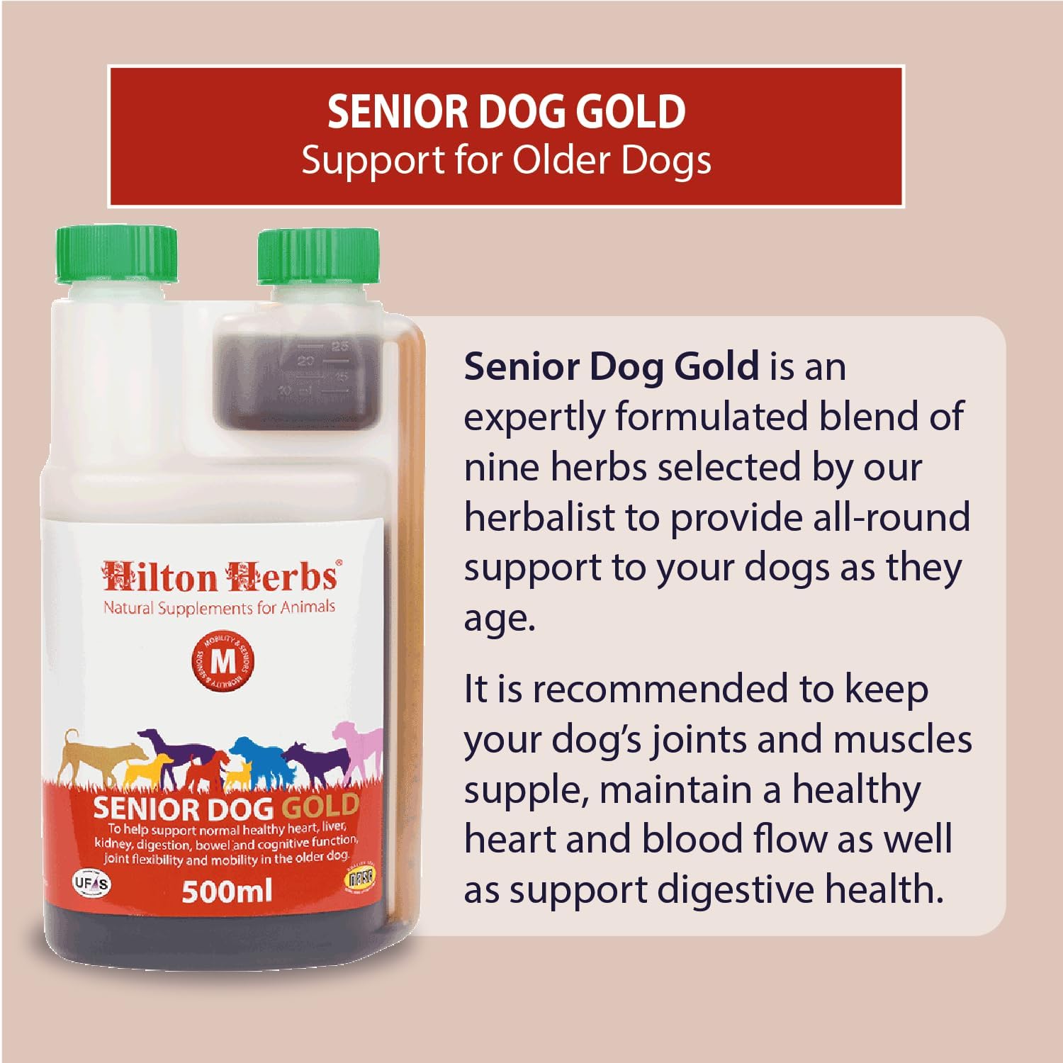 Hilton Herbs Canine Veteran Gold - 454 g - görsel 2