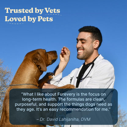 Furevery 11-in-1 Dog Multivitamin Chews – – Taurine: An amino acid vital for heart health and muscle function. It – Image 4