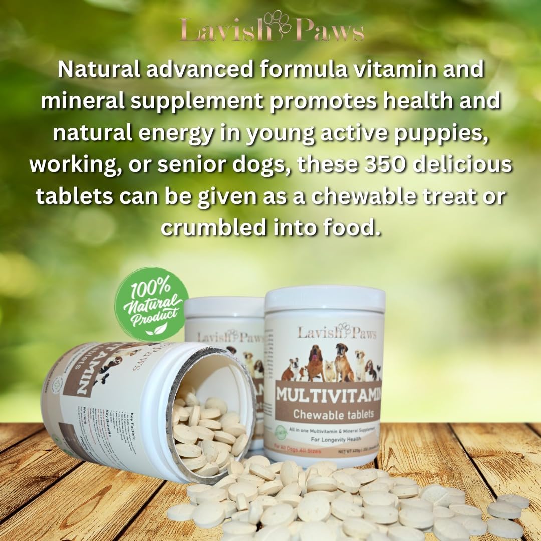 Lavish Paws All in One Multivitamin for Dogs - All Natural, Salmon Flavoured, 350 Tablets - görsel 5