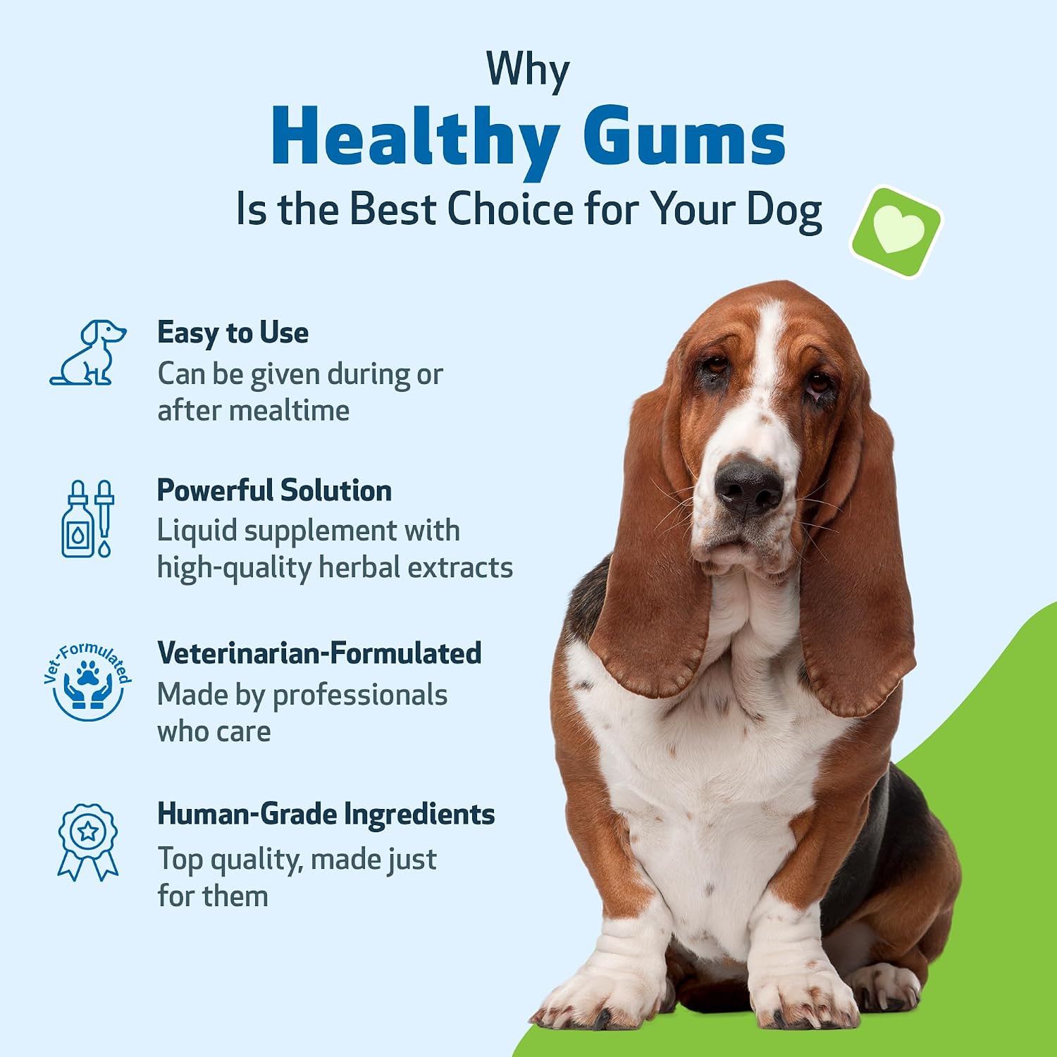 Pet Wellbeing Healthy Gums for Dogs - Topical Herbal Drops for Oral Care, 4 oz (118 mL) - görsel 5