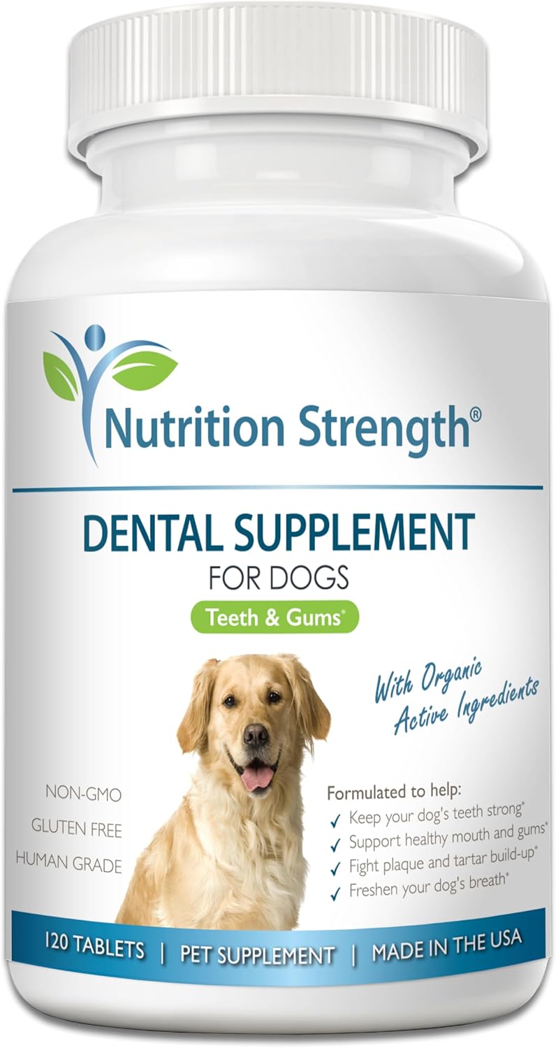 Nutrition Strength Dental Care for Dogs - Natural Plaque & Tartar Remover for Teeth - Fresh Breath Dog Supplement with Organic Kelp, Strawberry Leaf & Pumpkin Seed for Gum Health - 120 Tablets - görsel 1