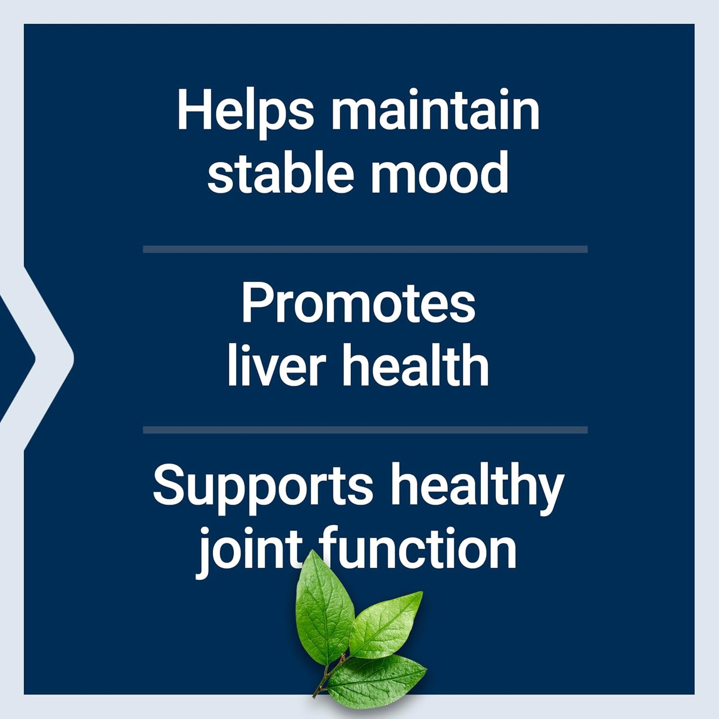 Life Extension SAMe 400 mg – S-Adenosyl-Methionine Supplement for Mood, Joint & Liver Support, 60 Enteric-Coated Tablets - görsel 4