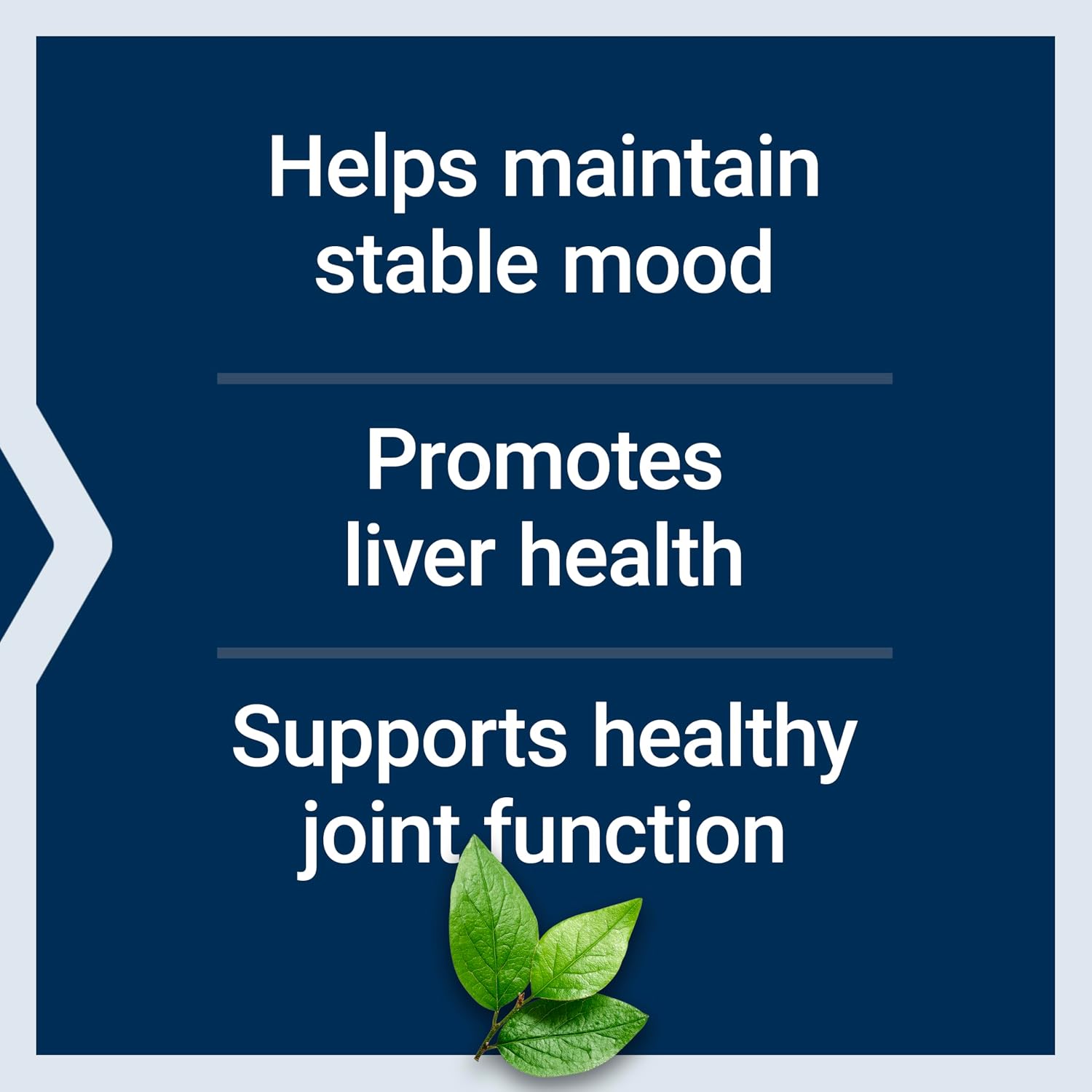 Life Extension SAMe 400 mg – S-Adenosyl-Methionine Supplement for Mood, Joint & Liver Support, 60 Enteric-Coated Tablets - görsel 4