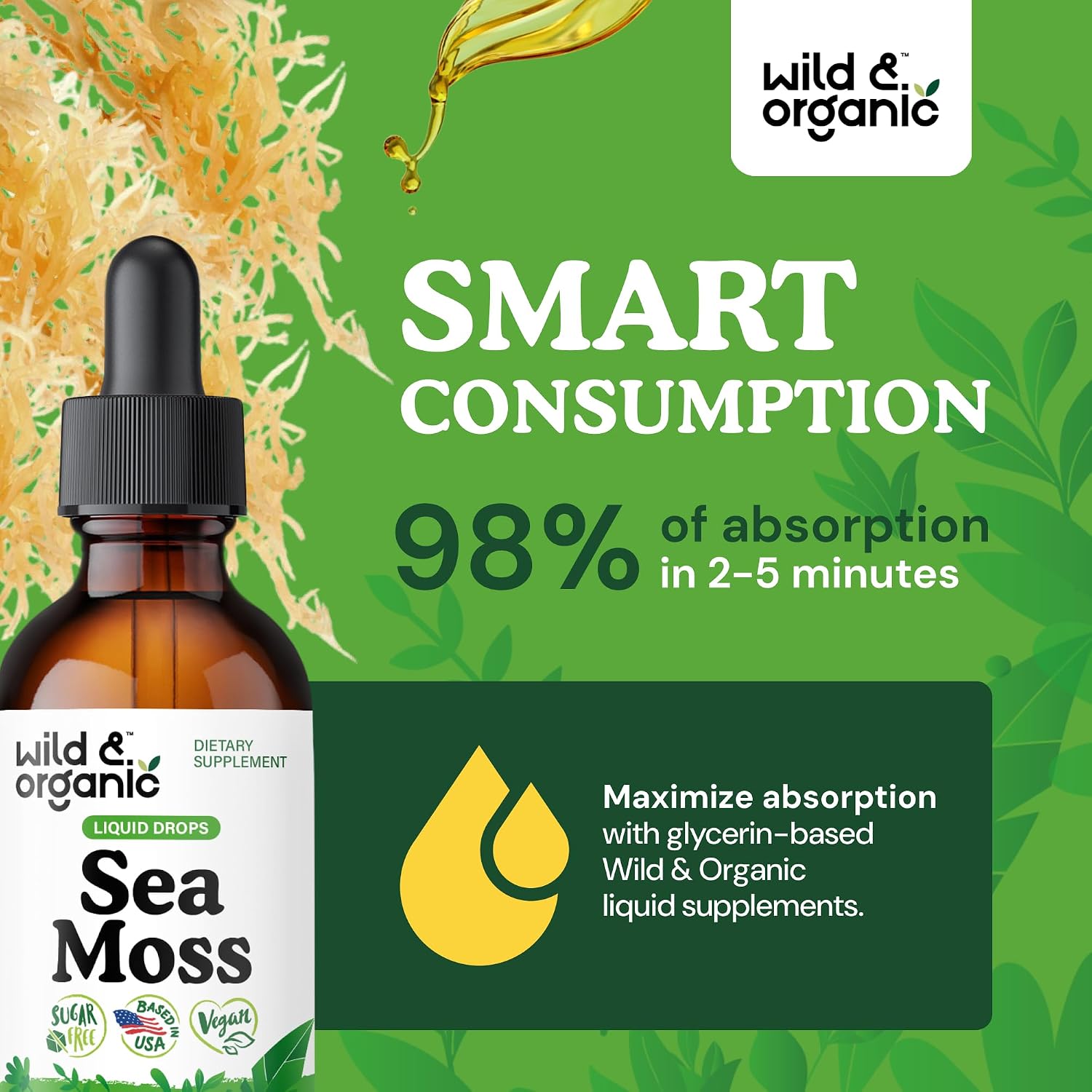 Wild & Organic Sea Moss Liquid Drops – Immune Support – Irish Sea Moss and Bladderwrack Tincture – Multimineral Chondrus Crispus Supplement – Vegan, Sugar & Alcohol-Free – 59 mL - görsel 4